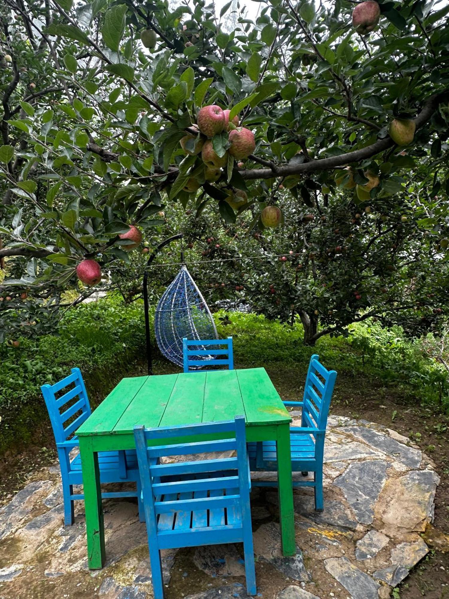 מלון קופרי Daak Bangla Retreat מראה חיצוני תמונה